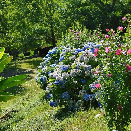 Les Chalets De Pierretoun La Bastide-Clairence Luaran gambar