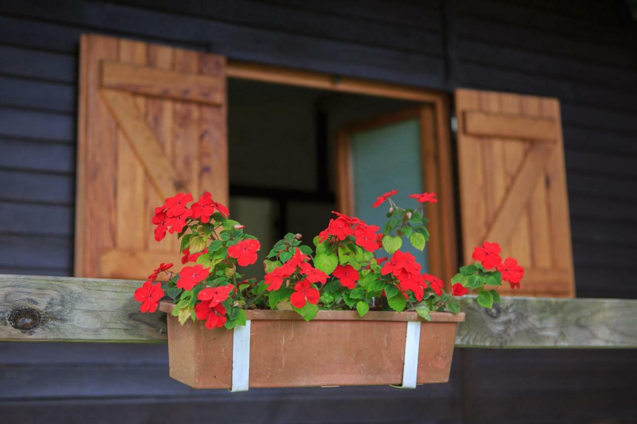 Les Chalets De Pierretoun La Bastide-Clairence Luaran gambar